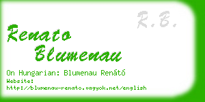 renato blumenau business card